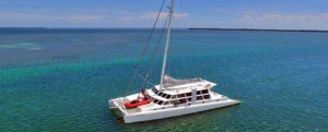 sailing charters on argo navis
